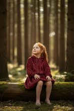 Load image into Gallery viewer, Velvet Reverie