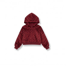 Load image into Gallery viewer, Velvet Reverie Hoodie
